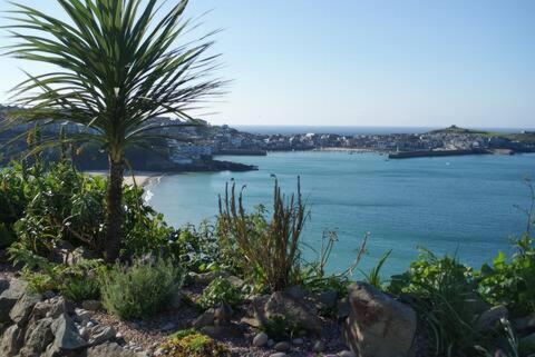 Grey Mullet Guest House St Ives المظهر الخارجي الصورة